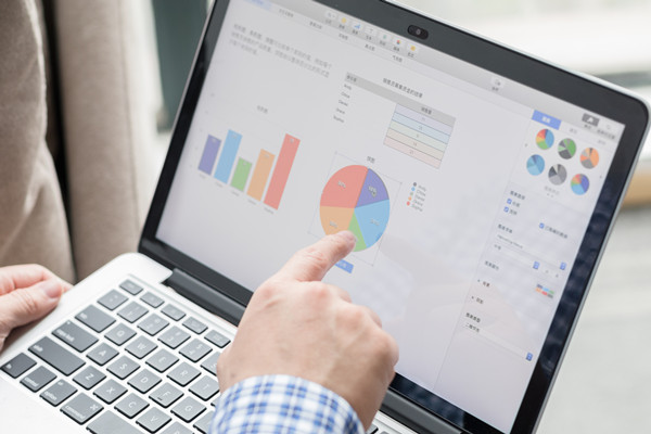 預(yù)算控制咨詢：協(xié)助企業(yè)建立控制體系，確保預(yù)算執(zhí)行