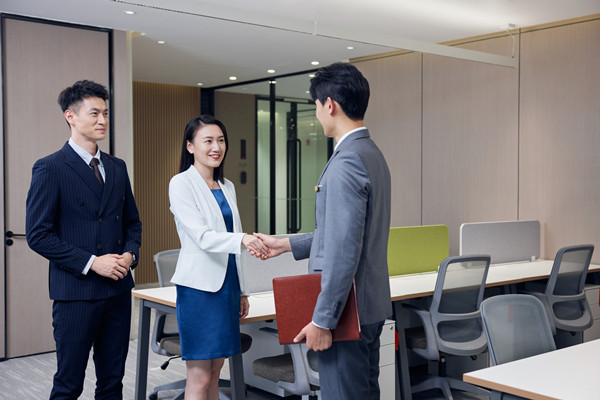 行業(yè)洞察與企業(yè)戰(zhàn)略：戰(zhàn)略咨詢(xún)公司的雙重智慧