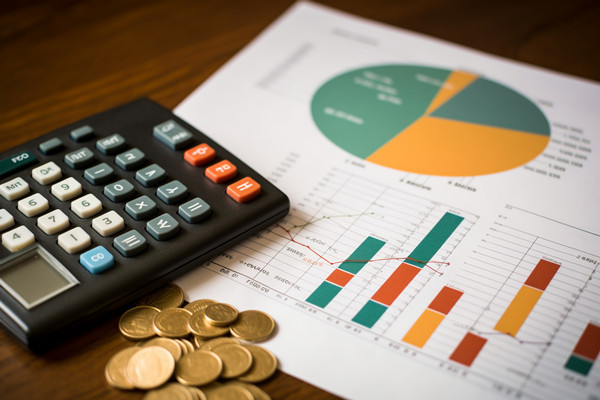 強(qiáng)化集團(tuán)管控：財(cái)務(wù)，人力資源，信息技術(shù)的整合