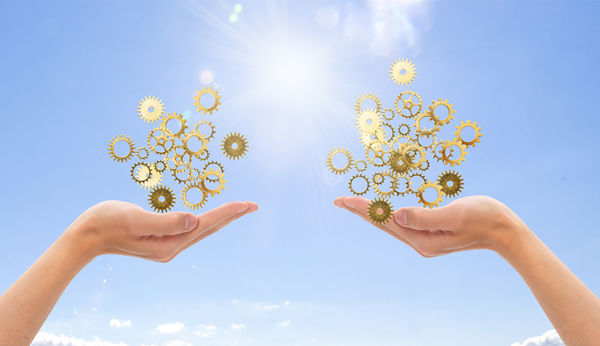 多品牌戰(zhàn)略：協(xié)同作戰(zhàn)，共創(chuàng)輝煌