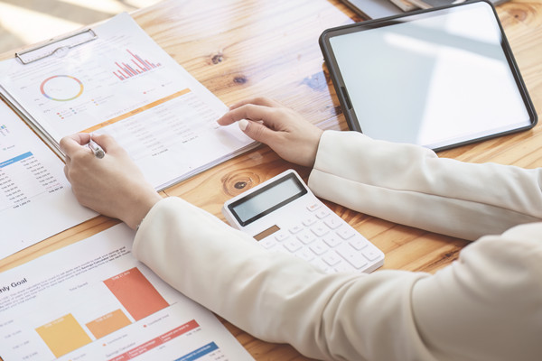 年度風(fēng)險(xiǎn)防控計(jì)劃：風(fēng)險(xiǎn)防范，穩(wěn)健前行