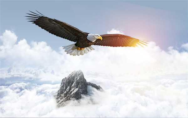 組織規(guī)劃引領(lǐng)企業(yè)變革，塑造全新管理模式與未來(lái)