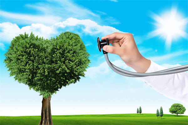 員工福利設(shè)計(jì)新思維：如何平衡成本效益與員工滿意度？