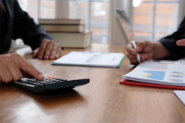 預(yù)算管理系統(tǒng)中，如何平衡自動(dòng)化與人工審核的利弊？