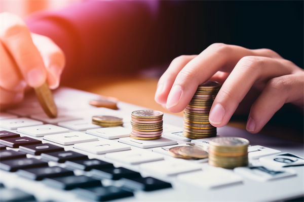 預(yù)算分析過程中，如何識別并糾正數(shù)據(jù)偏差，確保準(zhǔn)確性？