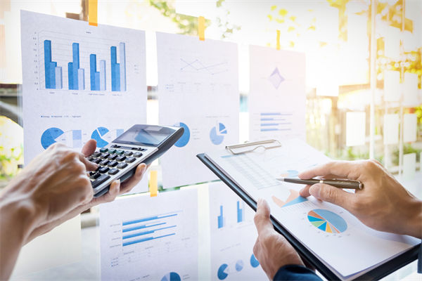 在預(yù)算執(zhí)行中，如何確保監(jiān)控與調(diào)整機(jī)制的有效性？