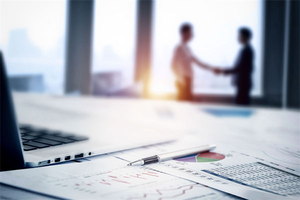 在預(yù)算執(zhí)行中，如何確保監(jiān)控與調(diào)整機(jī)制的有效性？