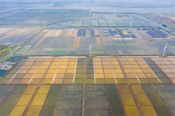 濰坊集團(tuán)子公司失控內(nèi)耗嚴(yán)重，濰坊集團(tuán)管控咨詢公司如何重構(gòu)權(quán)責(zé)體系？