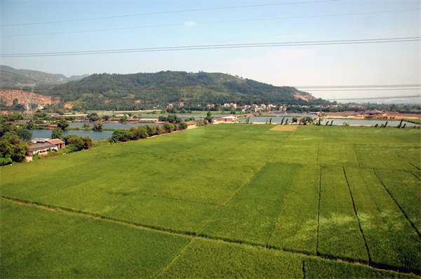 清遠(yuǎn)人力資源咨詢公司量體裁衣，如何激活企業(yè)人才發(fā)展新動能？