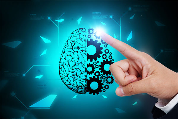 人力資源管理流程規(guī)范嚴(yán)謹(jǐn)，員工創(chuàng)造力為何反而受抑制？