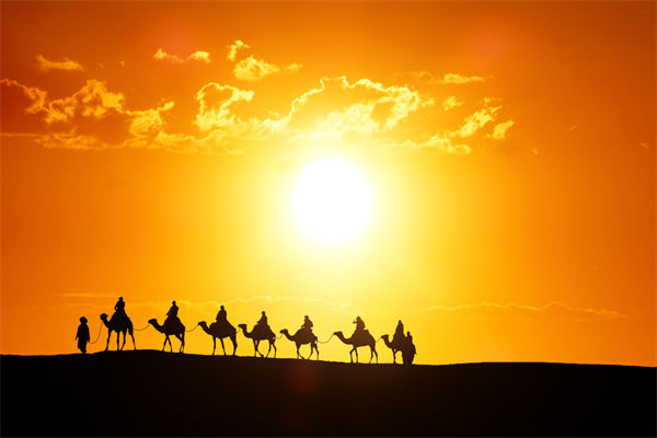 高層標榜的企業(yè)文化，如何穿透形式真正落地生根？