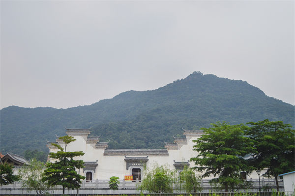 子公司各自為戰(zhàn)內(nèi)耗大，佛山集團(tuán)管控咨詢公司有何整合之道？