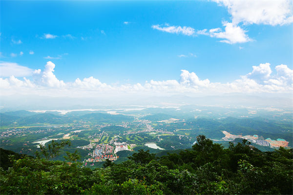 企業(yè)戰(zhàn)略飄在半空落地難，惠州戰(zhàn)略咨詢公司能錨定方向嗎？