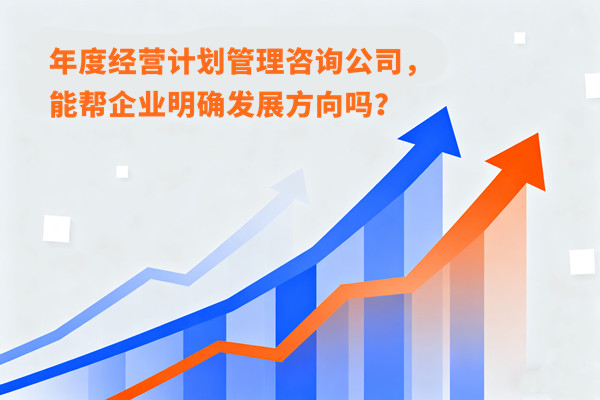 年度經(jīng)營(yíng)計(jì)劃管理咨詢公司，能幫企業(yè)明確發(fā)展方向嗎？