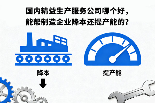 國內(nèi)精益生產(chǎn)服務(wù)公司哪個好，能幫制造企業(yè)降本還提產(chǎn)能的？